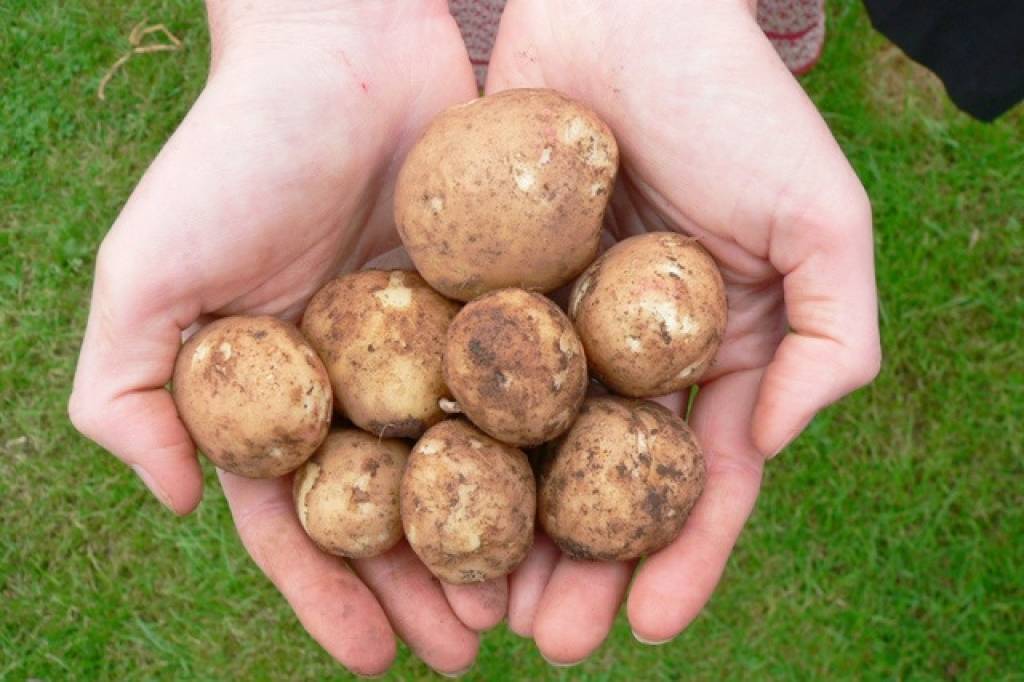 Autors: dabasbode.lv