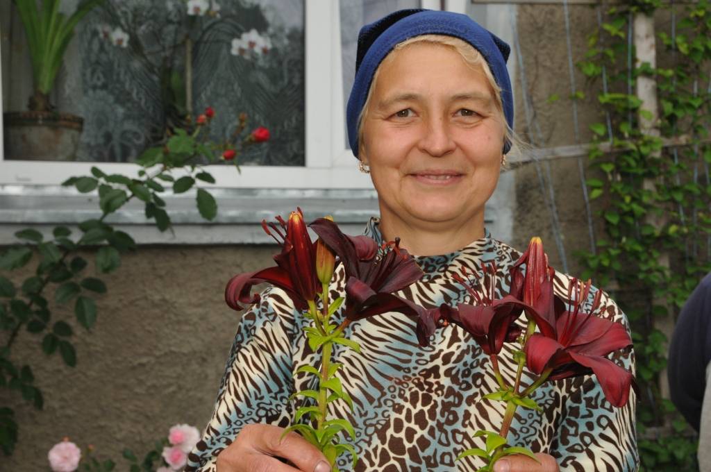 Kalvenē ZS “Mauriņi” saimniece Benita Baranovska savā dārzā jau vairāk kā 20 gadus audzē lilijas. Ar mammas Mildas Ornicānes palīdzību iekopts krāšņs dārzs, kurā baudāma plaša ziedu krāsu gamma. 
Autors: ReKurZeme, portāls