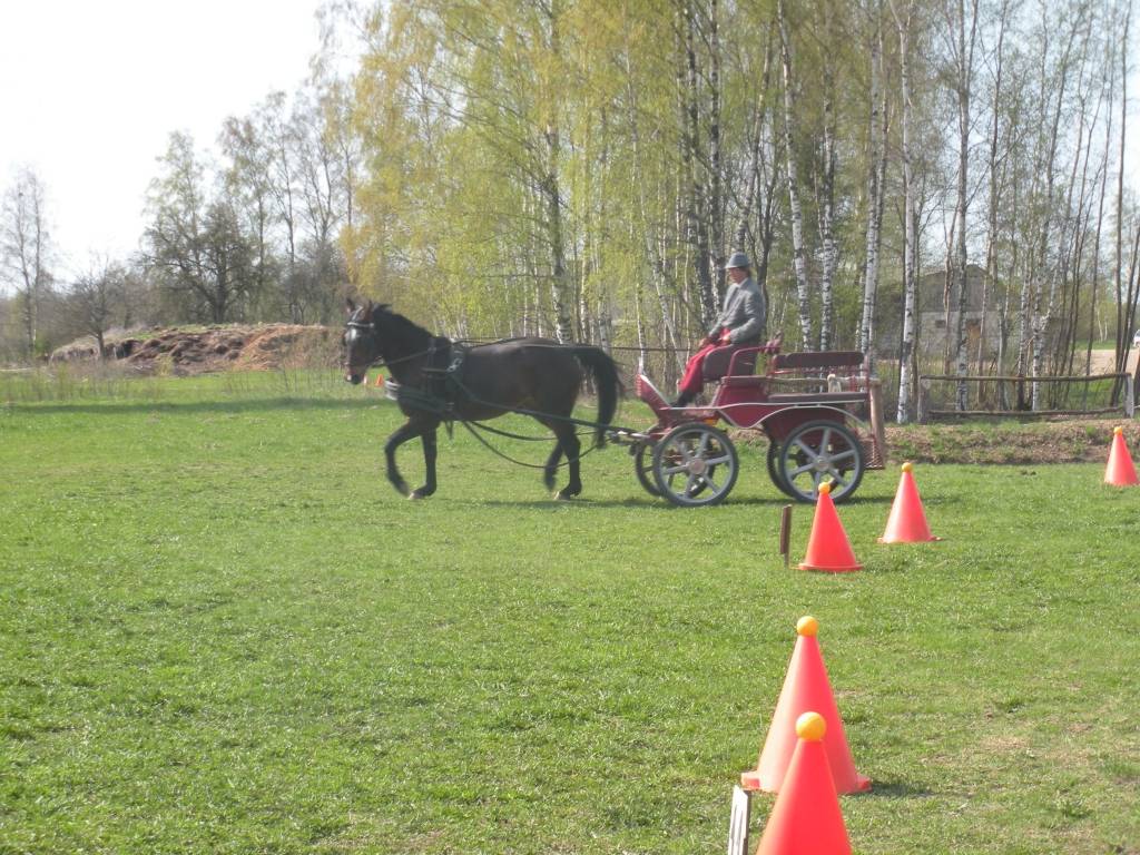 Autors: no biedrības 