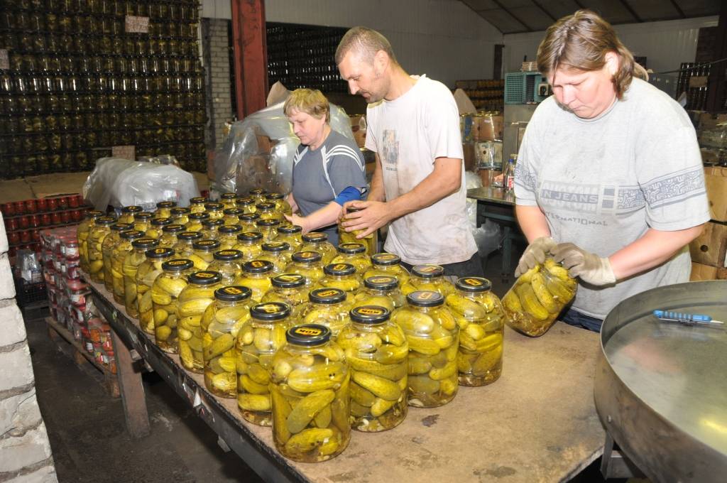 Šis nav gurķu gads, atzīst audzētāji, un to izjūt arī dārzeņu pārstrādātāji. 

Taču darbs mūspuses konservēšanas uzņēmumos neapsīkst, un tie lauž ceļu arī jauniem produktiem.

Durbes novada SIA 