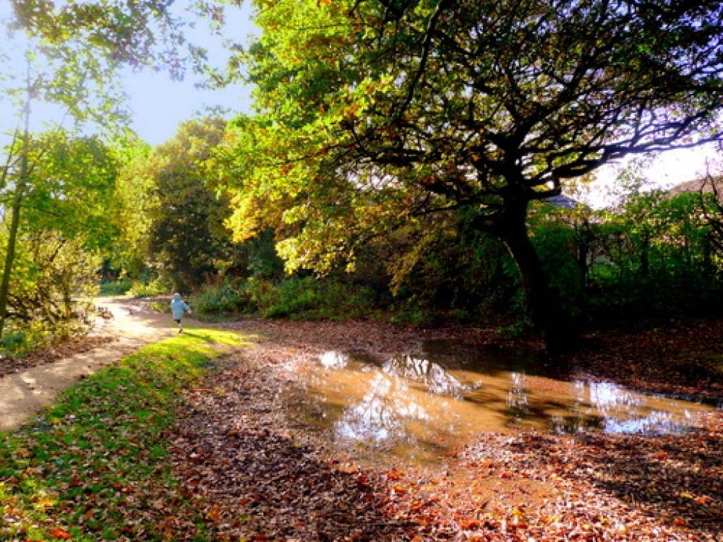 Autors: www.fotoblog.lv