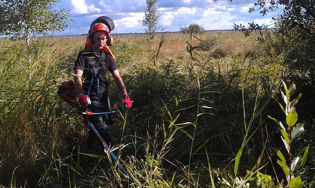 Autors: Evita Enģele