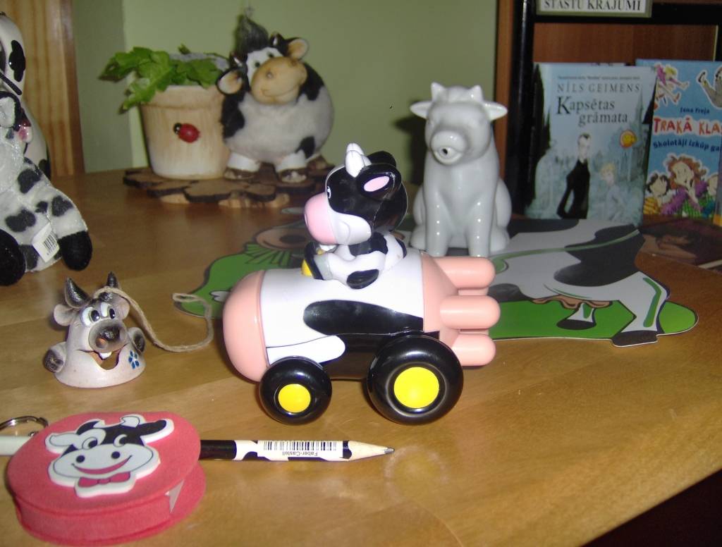 Autors: Anita Tuleiko