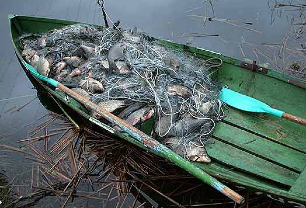 Autors: www.makskere.lv