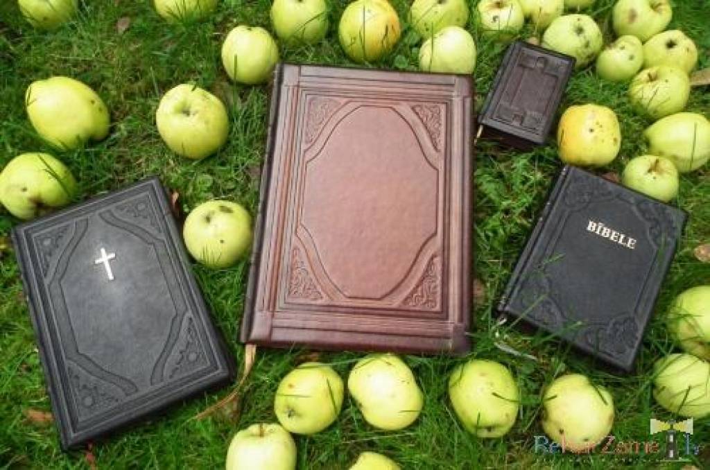 Autors: www.bibelesbiedriba.lv