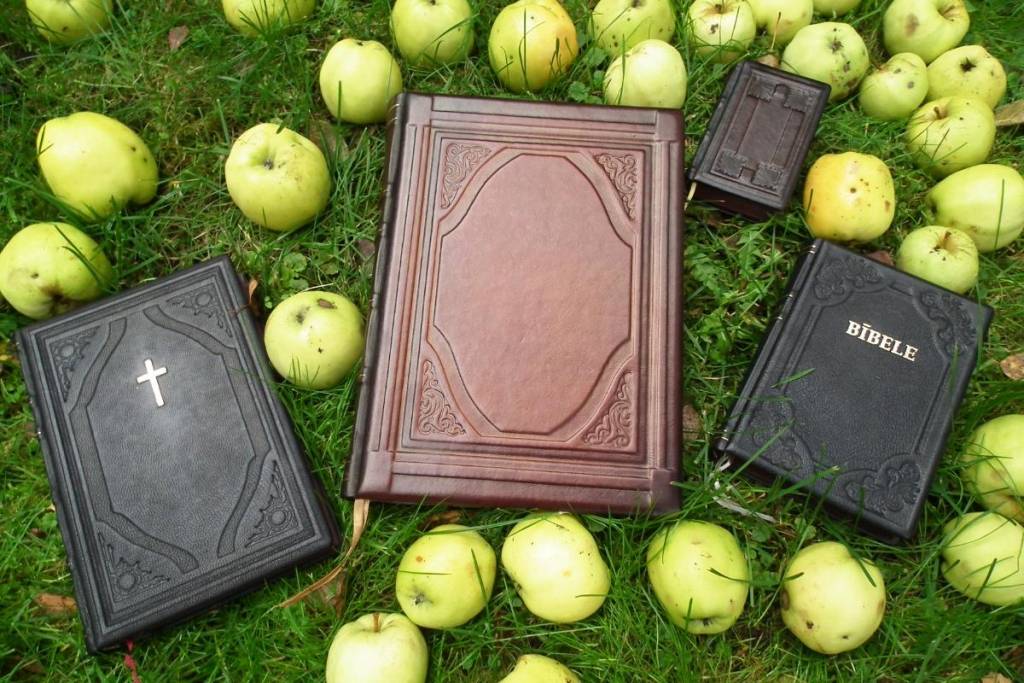 Autors: no www.bibelesbiedriba.lv