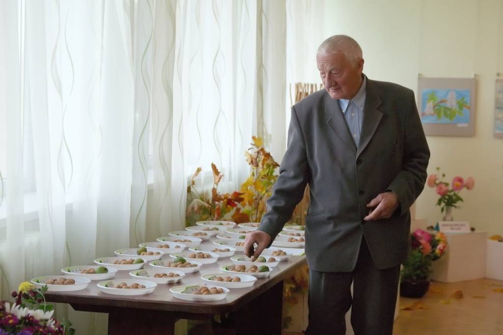 Autors: Normunds Zeniņš