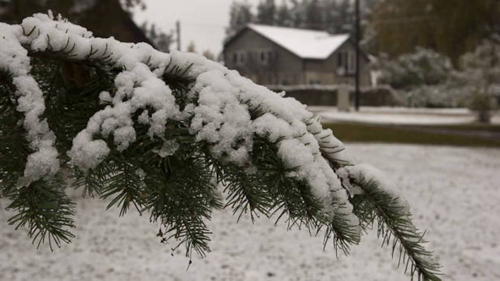 Autors: Publicitātes foto