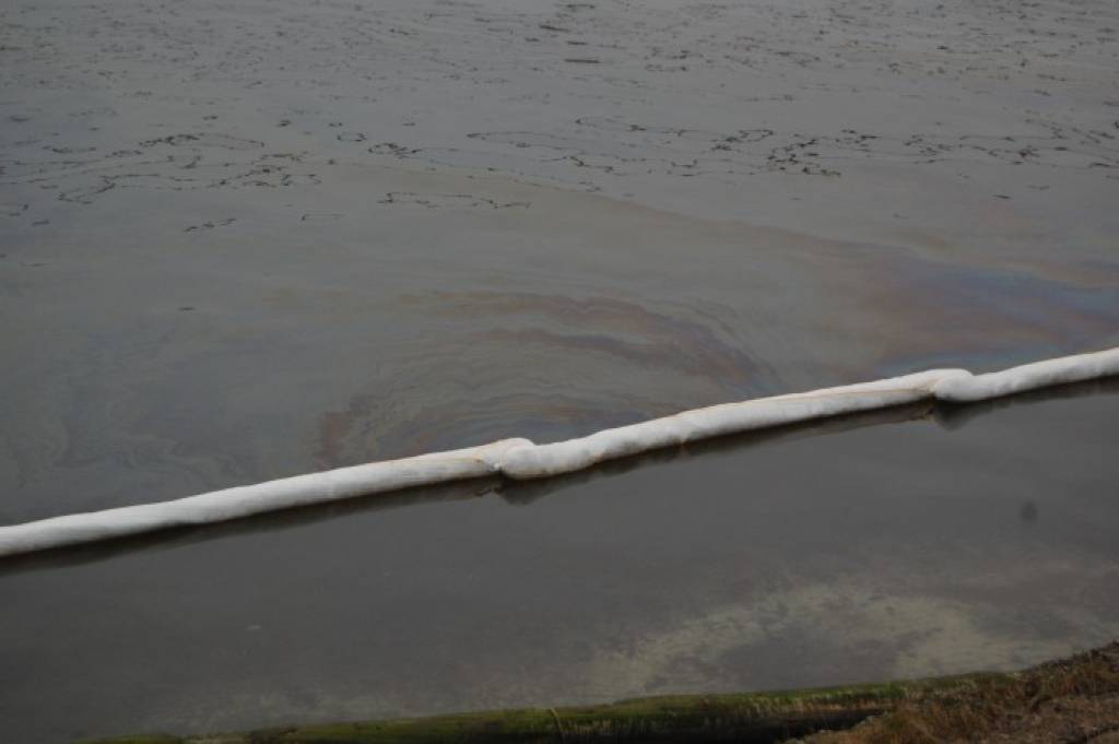 Autors: Vēsma Lēvalde