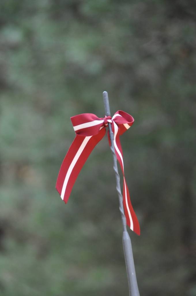 Autors: Dainis Ģelzis