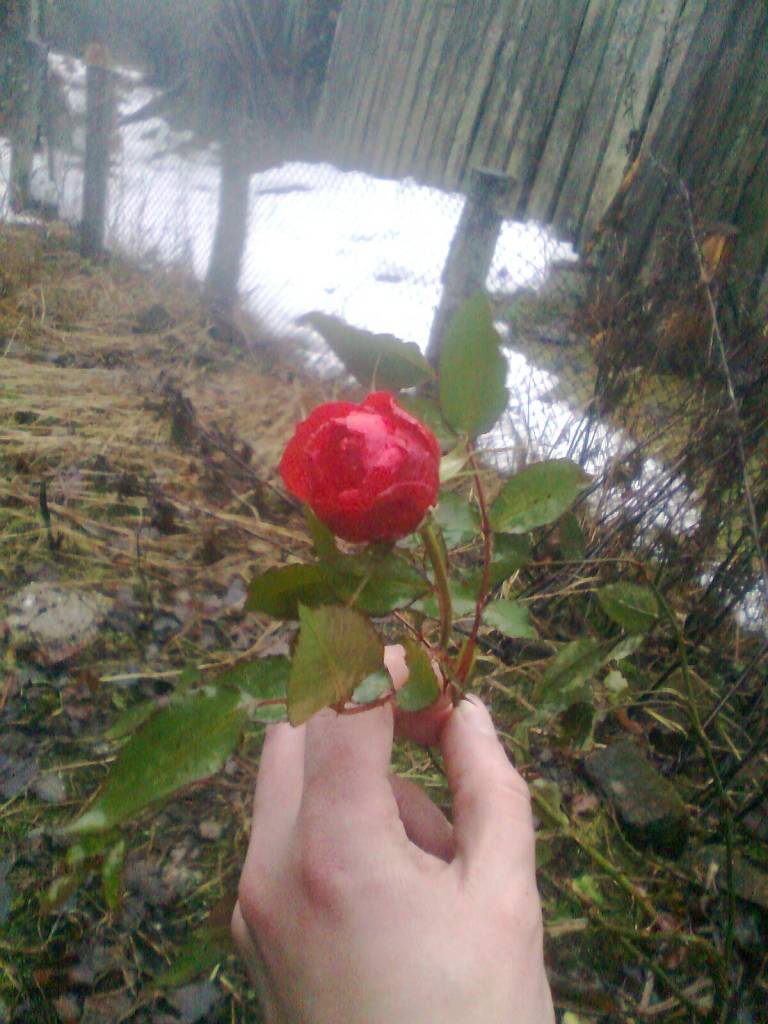 31. decembris Kalvenē
Autors: Uldis Dobelis