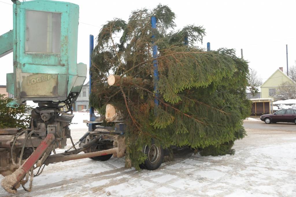 Trešdien Aizputē nogādāta lielā Ziemassvētku egle, novēroja portāls.

Svētdien no pulksten 12 līdz 18 Aizputes kultūras namā norisināsies amatnieku tirdziņš 