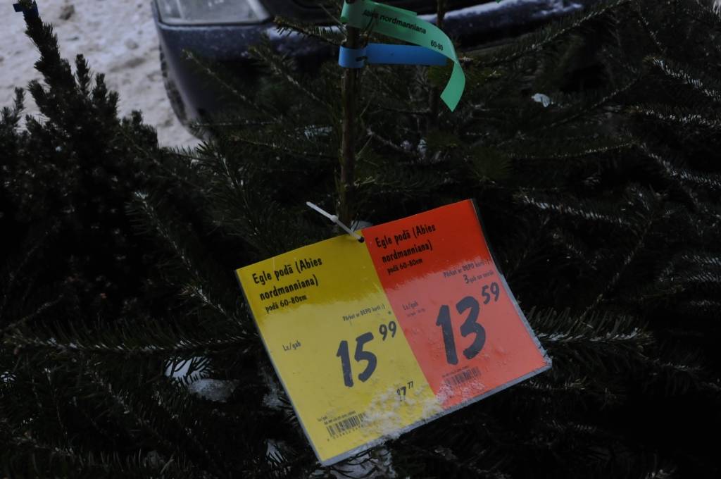 Autors: Dainis Ģelzis