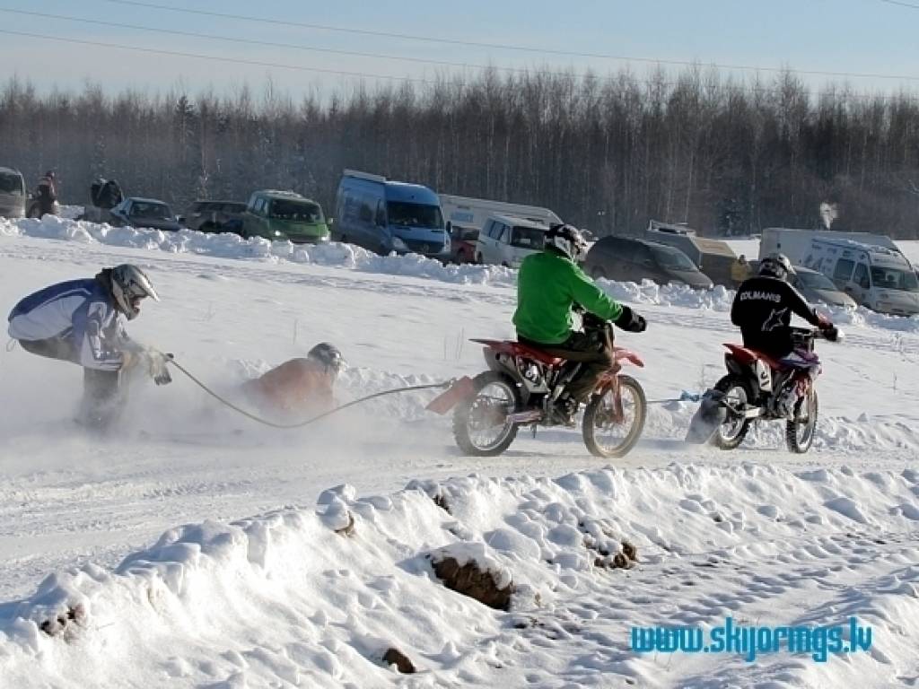 Autors: www.skijorings.lv