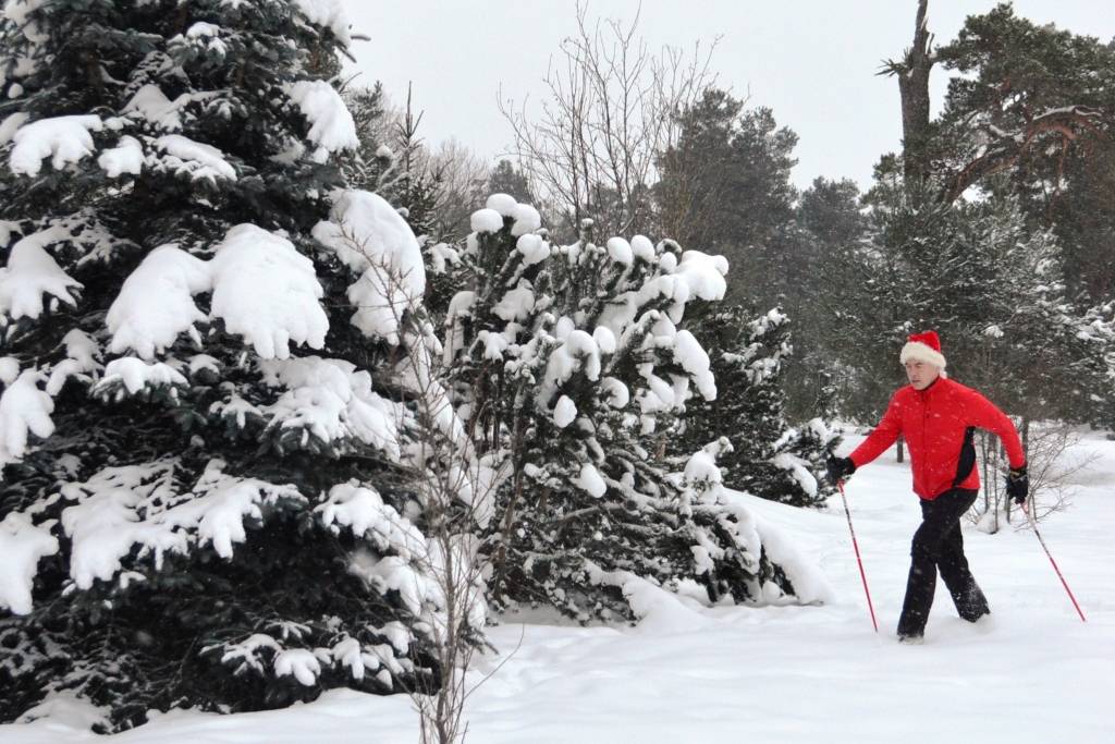 Autors: Publicitātes foto