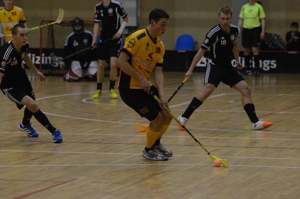 Autors: Uldis Dobelis