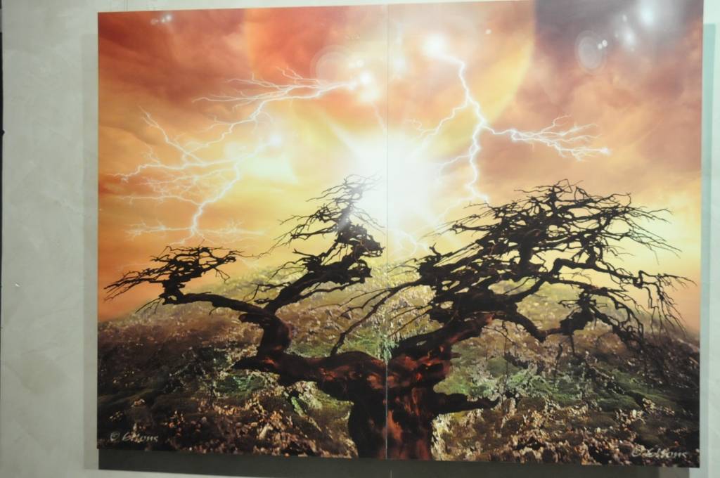 Liepājas Latviešu biedrības namā skatāma ELTONA fotodarbu izstāde.

Fotomākslinieks ELTONS, īstajā vārdā Valdis Lancmanis, informē liepājniekus: 