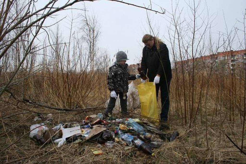 Autors: Aigars Štāls