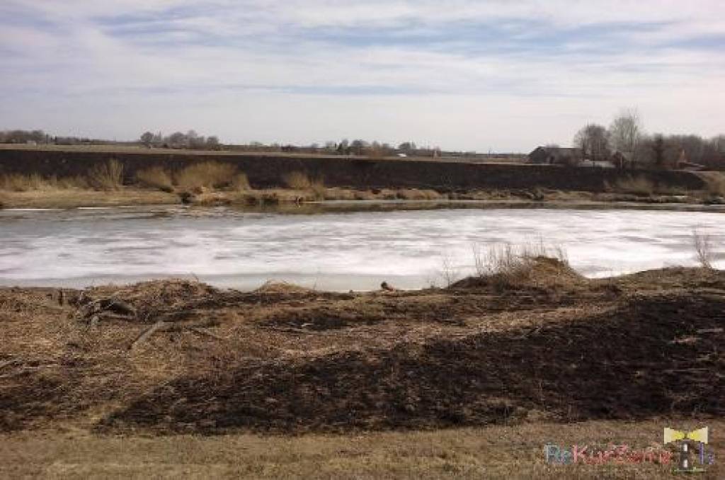 Fotoieskats Bārtas krastos Nīcas apkaimē, kur manāmas gan kūlas dedzināšanas pēdas, gan daži zemledus makšķernieki uz visai plānā upes ledus. Visticamāk, ka ievērojama ūdens līmens celšanās šeit nebūs, jo ledus kūst pamazām.
Autors: ReKurZeme, portāls