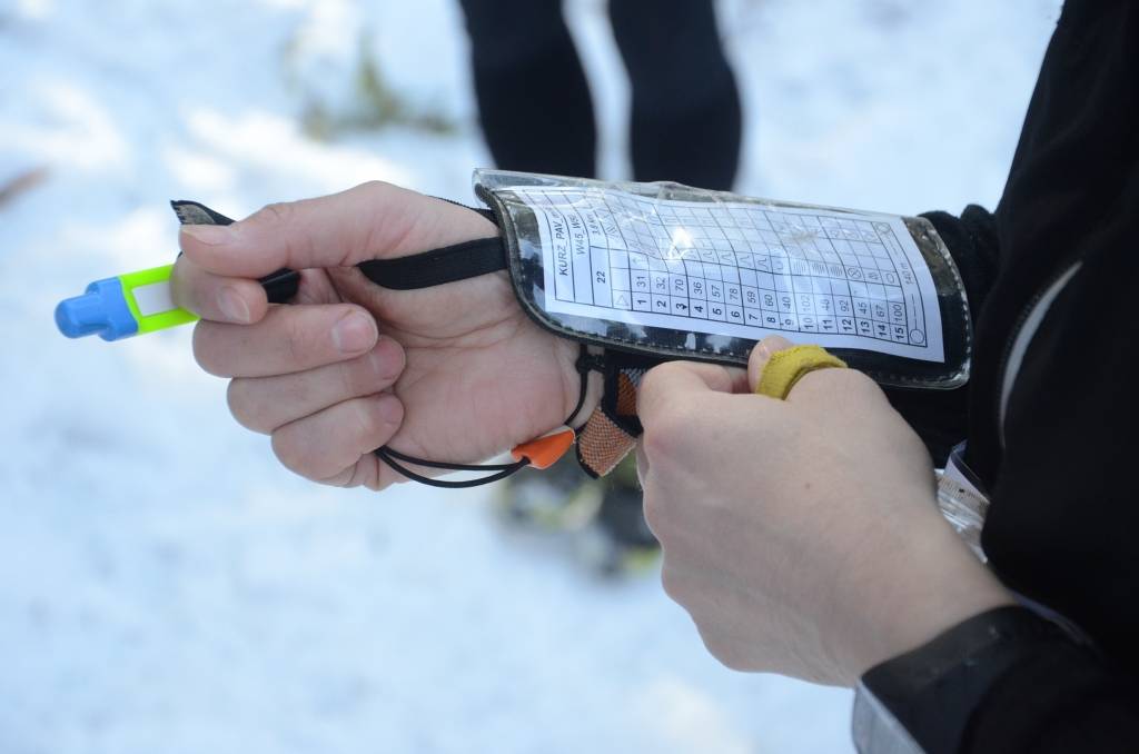 Autors: Uldis Dobelis