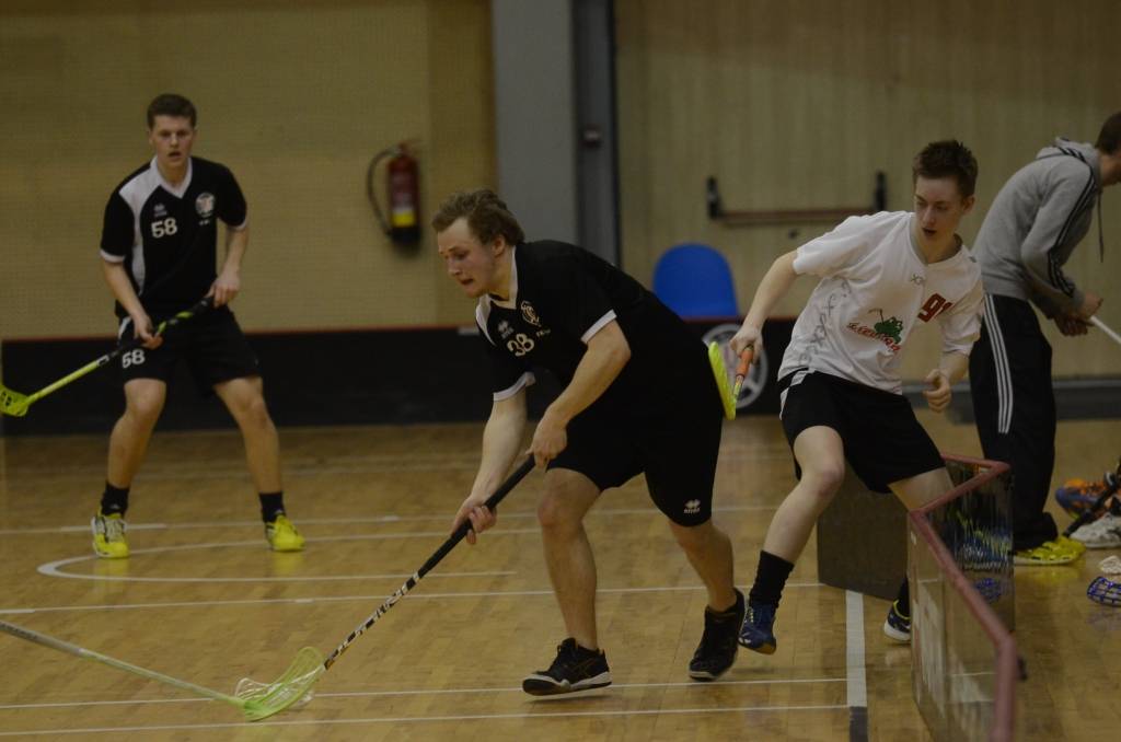 Autors: Uldis Dobelis