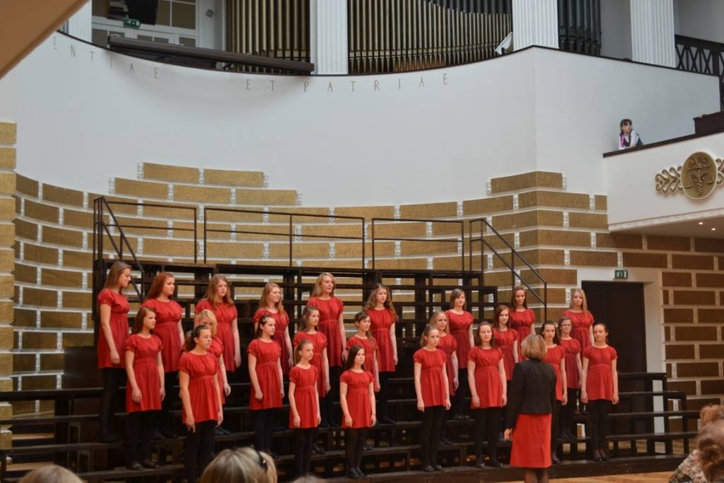 Aluksniesiem.lv raksta attēla aizvietotājs