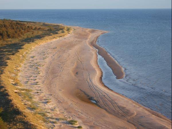 Autors: Publicitātes foto