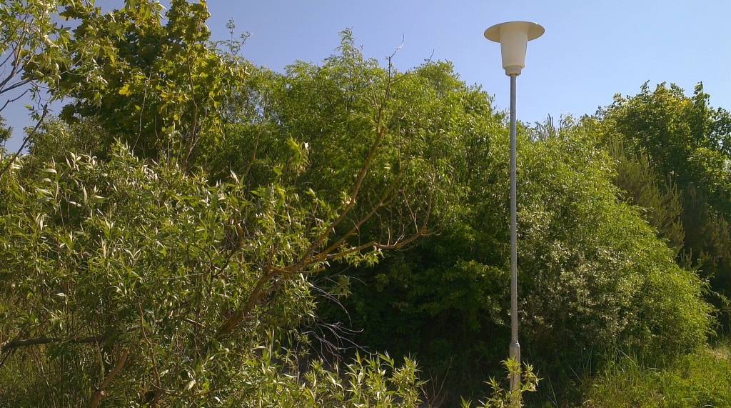 Apgaismojuma laterna pie vienas no izejām uz pludmali.
Autors: Aigars Štāls