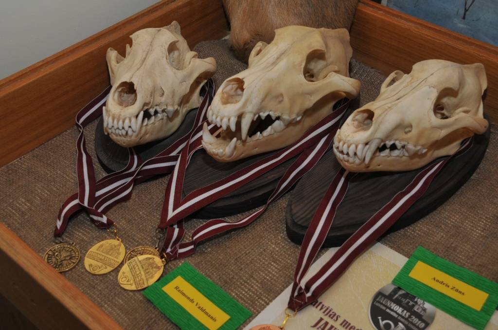 Autors: Dainis Ģelzis