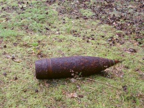 Autors: Publicitātes foto