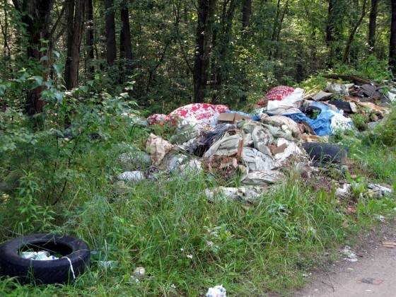 Autors: Publicitātes foto