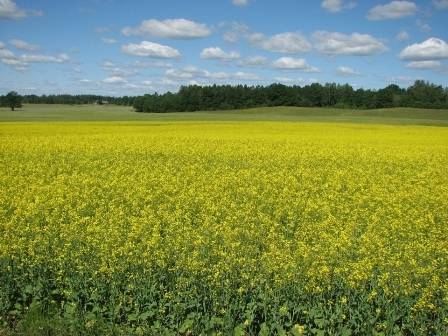 Autors: Publicitātes foto