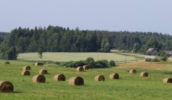 Autors: meteolapa.lv