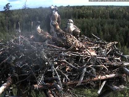 Autors: Publicitātes foto