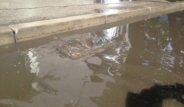 Autors: Publicitātes foto