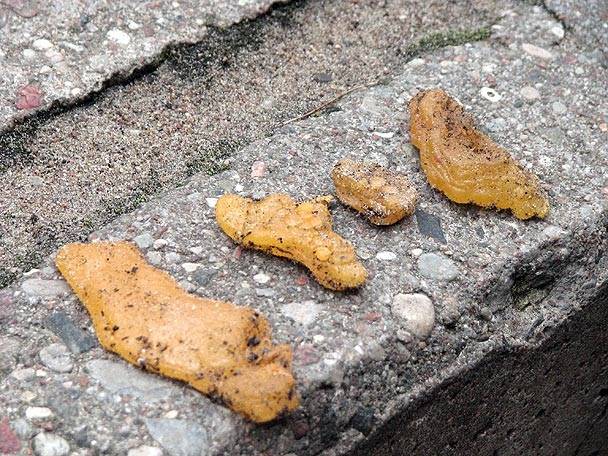 Autors: Publicitātes foto