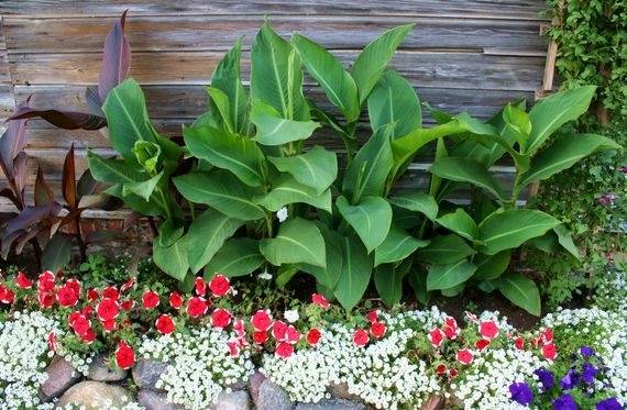 Autors: Aigars Štāls