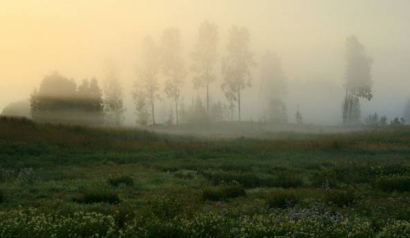 Autors: Publicitātes foto