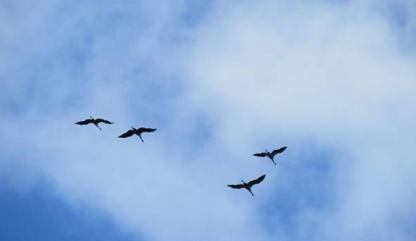 Autors: meteolapa.lv