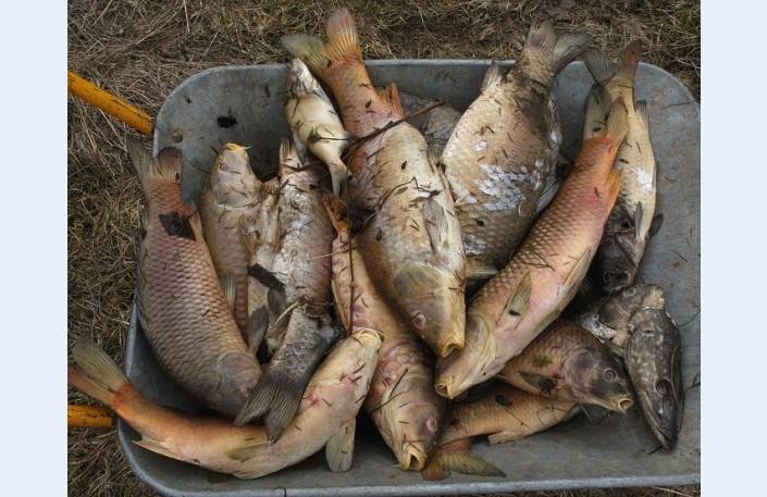 Autors: Publicitātes foto