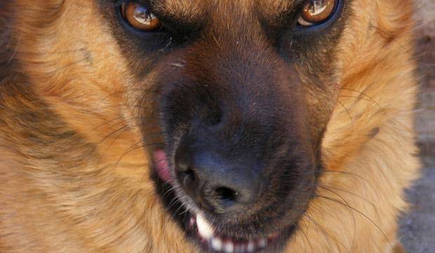 Autors: Publicitātes foto