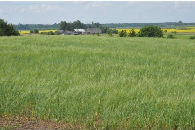 Autors: Publicitātes foto