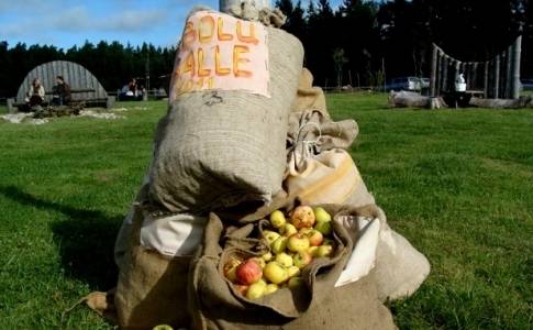 Autors: Publicitātes foto