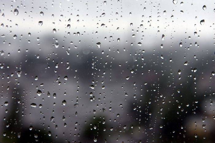 Autors: Publicitātes foto