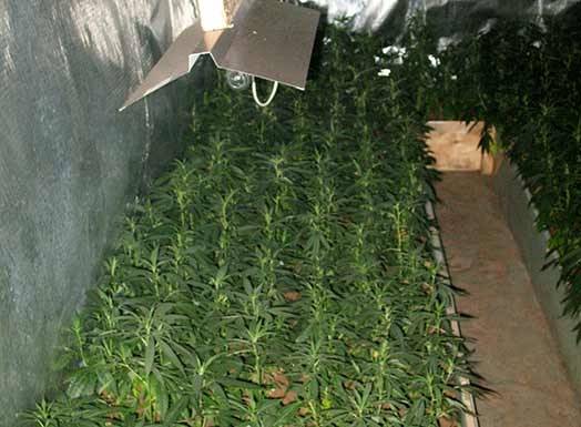 Autors: Publicitātes foto