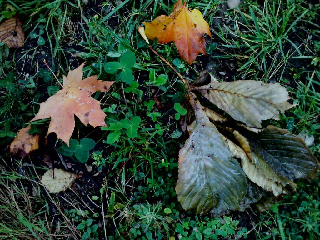 Autors: Publicitātes foto