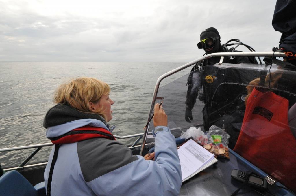 Autors: Ligita Laipeniece