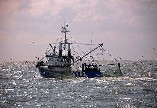 Autors: Publicitātes foto