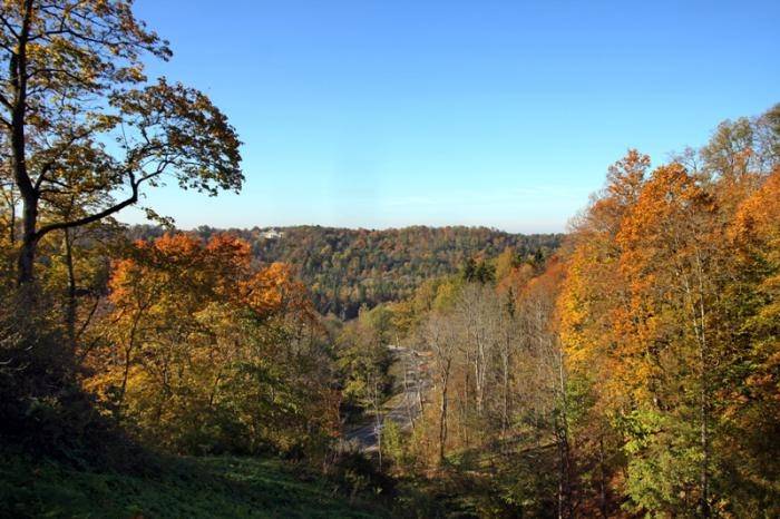 Autors: Publicitātes foto