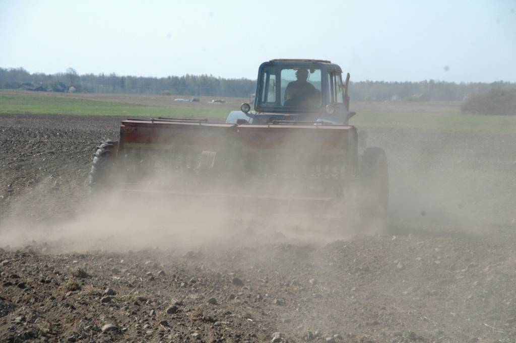 Autors: Dainis Ģelzis